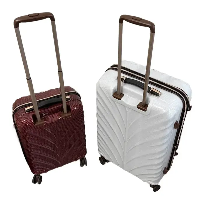 Valise ultra-légère en fibre de carbone – Bagage à main de 1