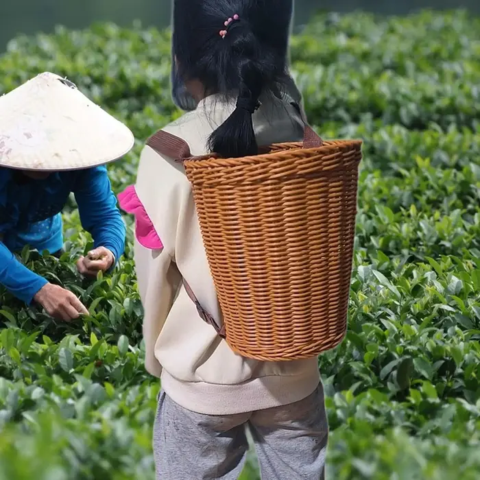 Sac à dos panier rustique PP avec bretelles