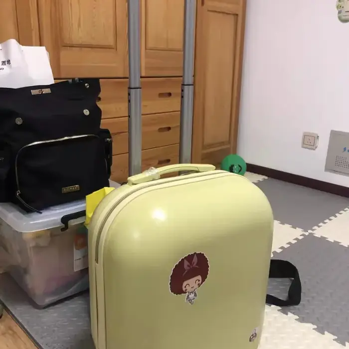 Valise Légère de Style Japonais pour Femme, Bagage de 20 Pouces, Mot de Passe Muet, Interrupteur Sac