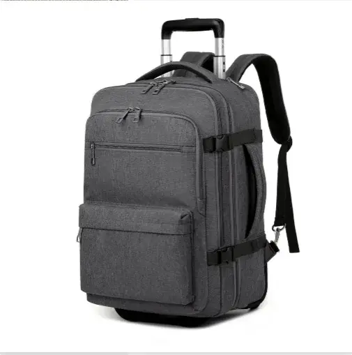 Sacs de voyage à roulettes pour hommes, bagages à main de 20 pouces, sac à dos à roulettes pour l'éc