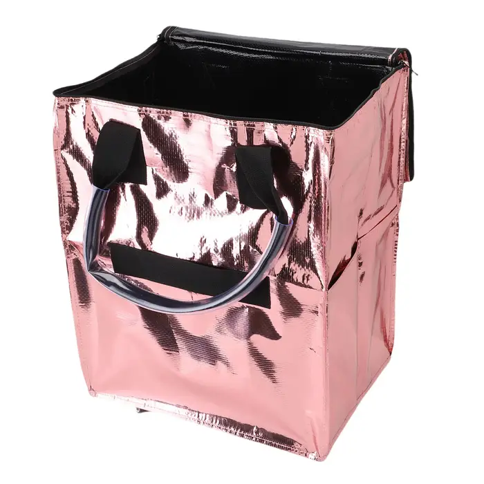 Sac d'épicerie sur roulettes