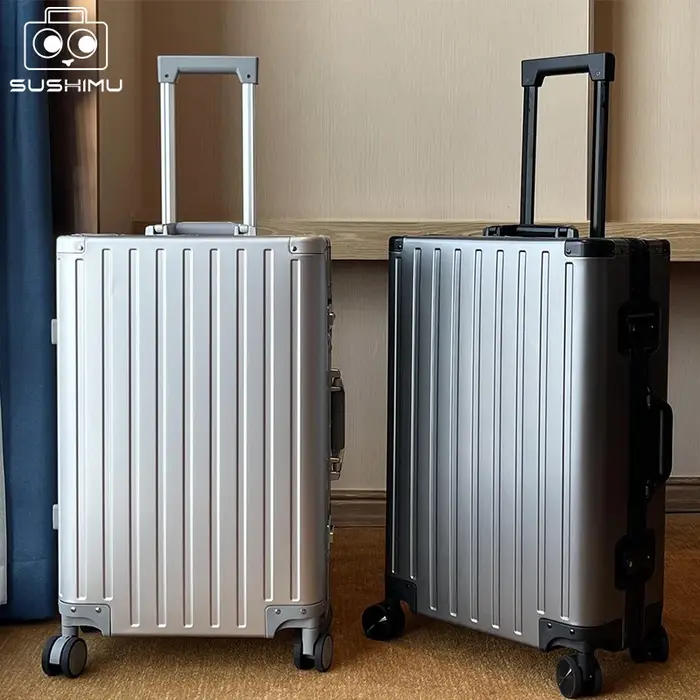 Valise en alliage d'aluminium et de magnésium pour hommes et femmes, étui à roulettes expressément e