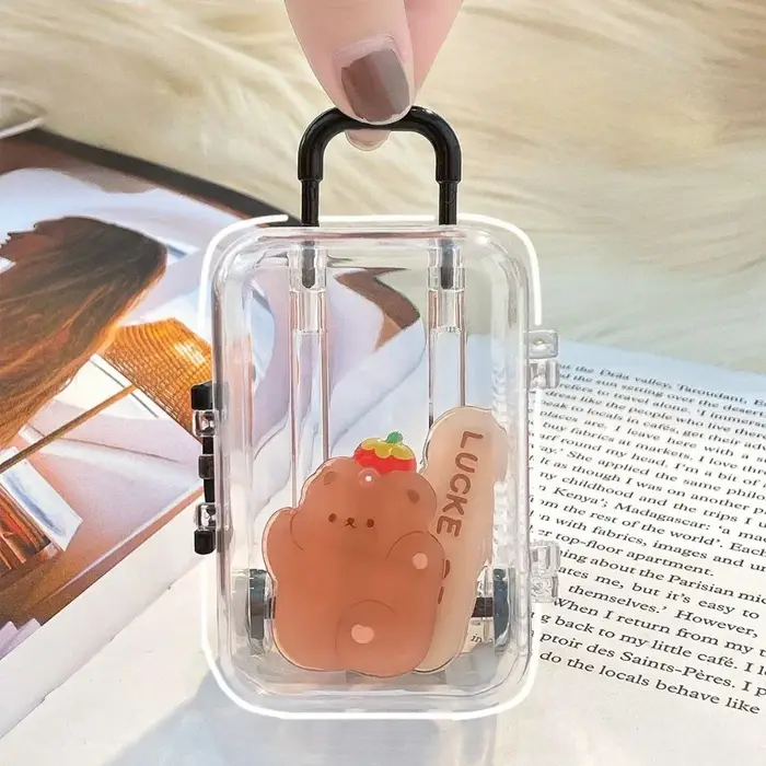 Boîte de rangement transparente mini valise