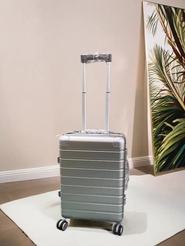 Bagage à main en alliage d'aluminium et de magnésium de 20 pouces
