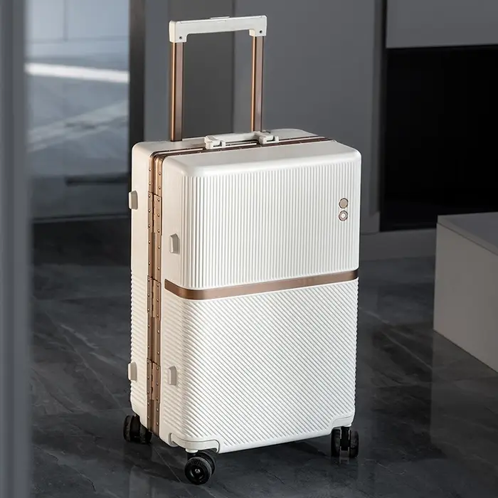 Valise de voyage avec cadre en aluminium doré, valise à main de 20 pouces, chariot PC épais et Durab